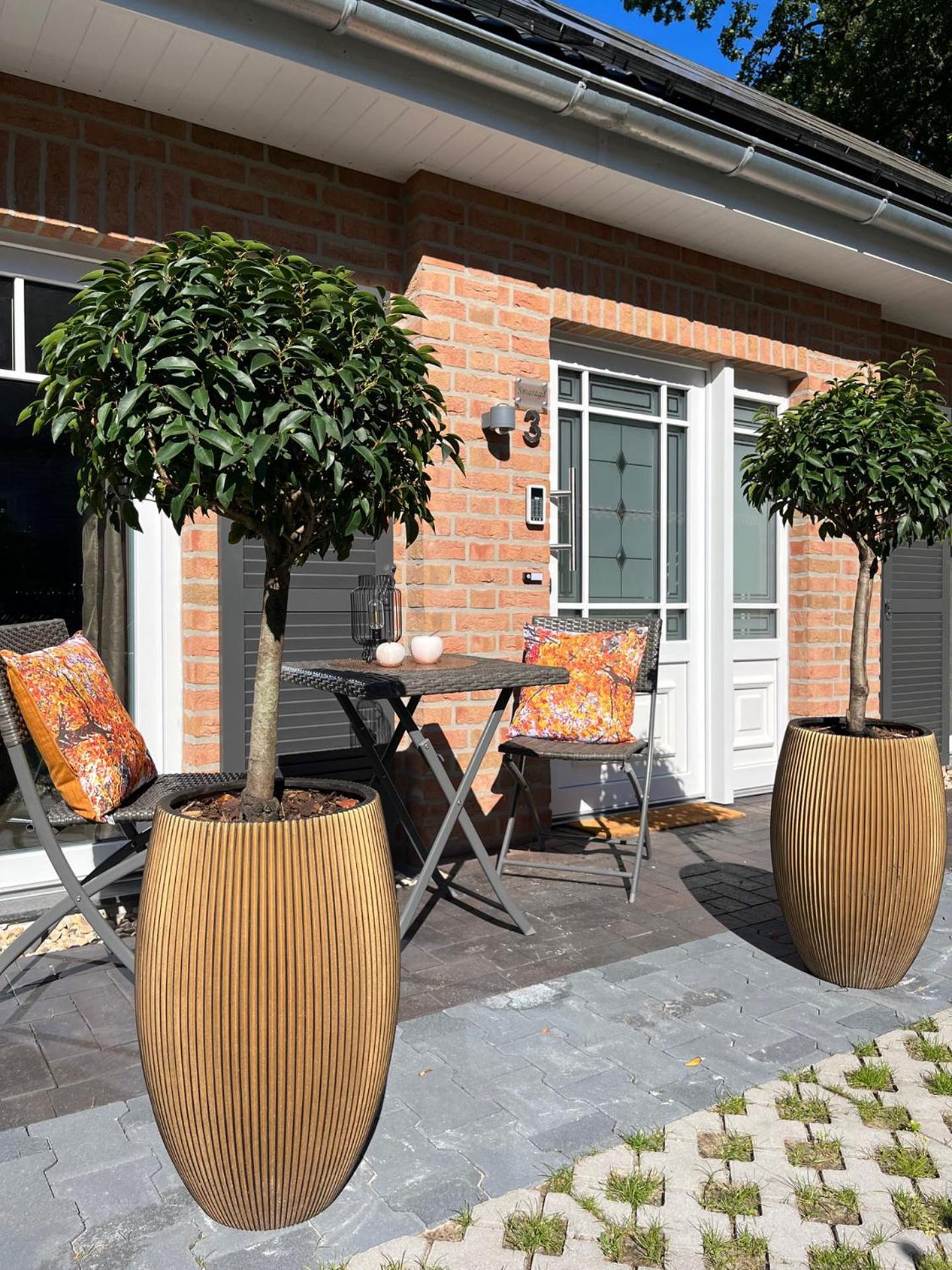 Amazonas Lounge 250 M Vom Spielcasino Entfernt, Meerblick Von Der Terrasse Aus Im Boutiqe Hotel Stil 巴德茨维什安 外观 照片